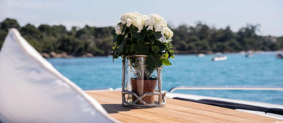 Palumba - location yacht Cannes, photo 16